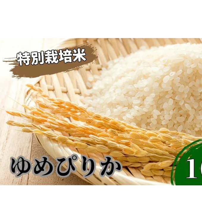 北海道 日高【田中農園】R6年産 ゆめぴりか 10kg 特別栽培米