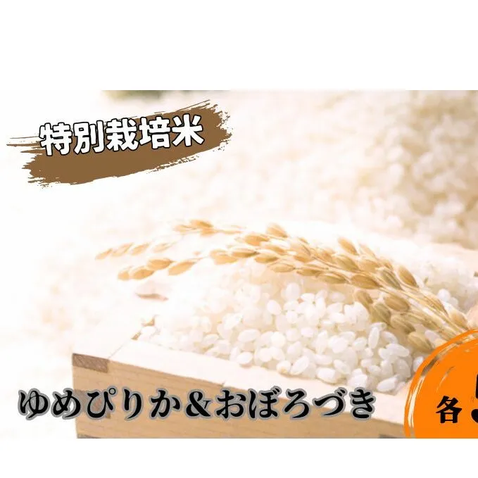 北海道 日高【田中農園】R6年産 ゆめぴりか ＆ おぼろづき 各5kg 食べ比べ セット 特別栽培米