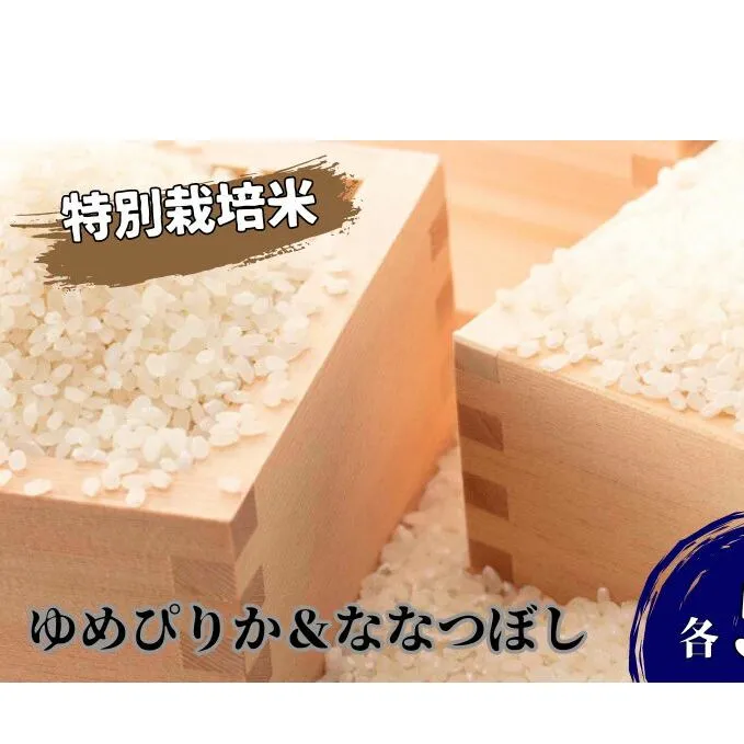 北海道 日高【田中農園】R6年産 ゆめぴりか ＆ ななつぼし 各5kg 食べ比べ セット 特別栽培米