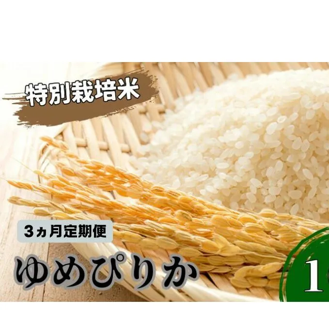 ◆3ヵ月連続お届け お米の定期便◆北海道日高【田中農園】R6年産 ゆめぴりか 10kg 特別栽培米