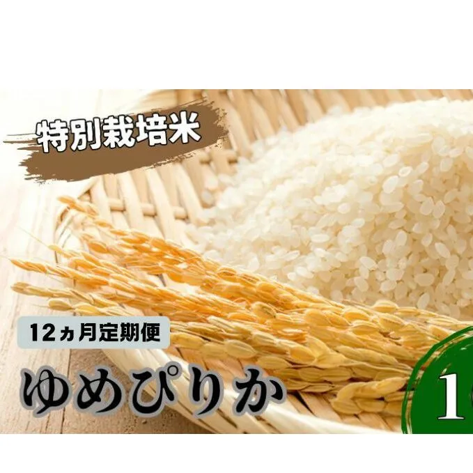 ◆12ヵ月連続お届け お米の定期便◆北海道日高【田中農園】R6年産 ゆめぴりか 10kg 特別栽培米