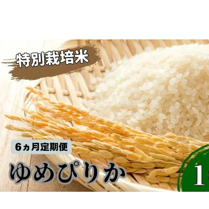 ◆6ヵ月連続お届け お米の定期便◆北海道日高【田中農園】R6年産 ゆめぴりか 10kg 特別栽培米