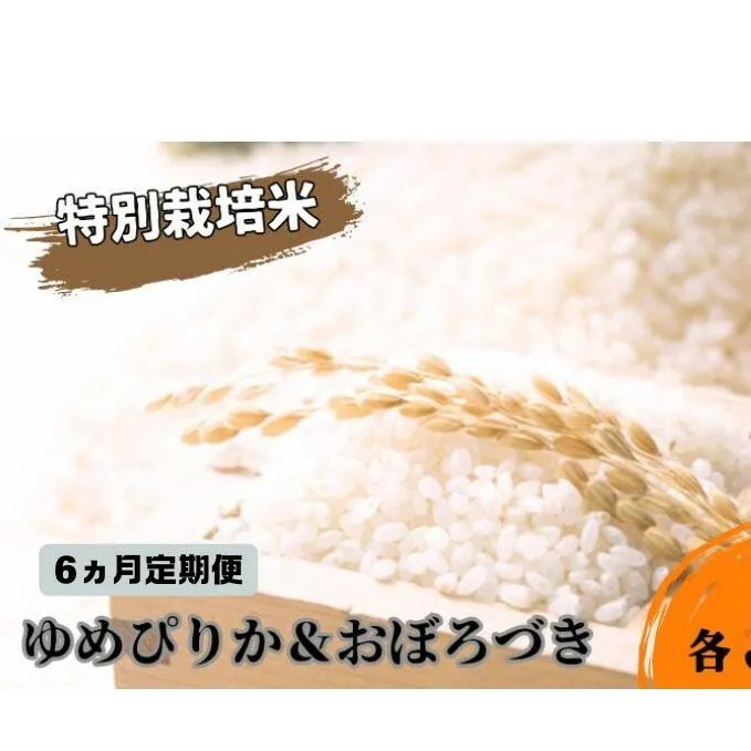 ◆6ヵ月連続お届け お米の定期便◆北海道日高【田中農園】R6年産 ゆめぴりか＆おぼろづき 各5kg 食べ比べ セット 特別栽培米