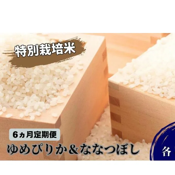 ◆6ヵ月連続お届け お米の定期便◆北海道日高【田中農園】R6年産 ゆめぴりか＆ななつぼし 各5kg 食べ比べ セット 特別栽培米