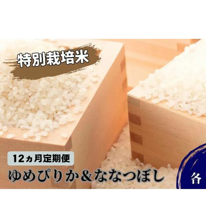 ◆12ヵ月連続お届け お米の定期便◆北海道日高【田中農園】R6年産 ゆめぴりか＆ななつぼし 各5kg 食べ比べ セット 特別栽培米