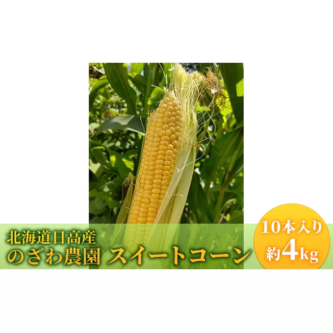 【 のざわ農園 】スイートコーン 10本 入り（約4kg）北海道 日高産