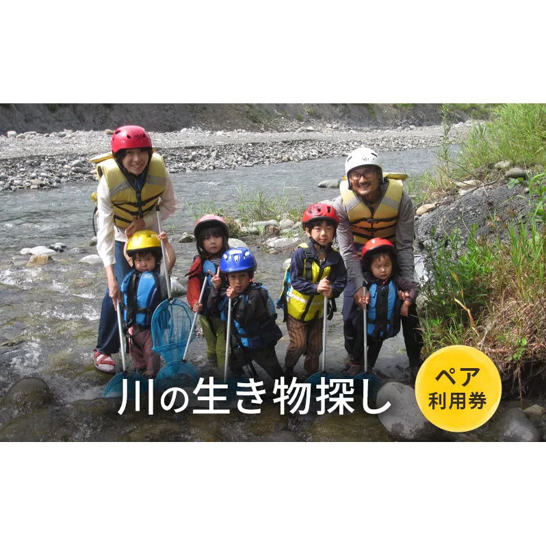 川の生き物探し【体験チケット】体験 チケット 自然 川 釣り 北海道 日高町