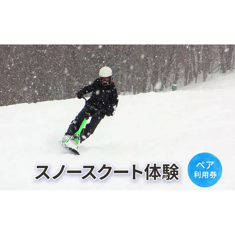 スノースクート体験【体験チケット】体験 チケット 自然 雪 北海道 日高町