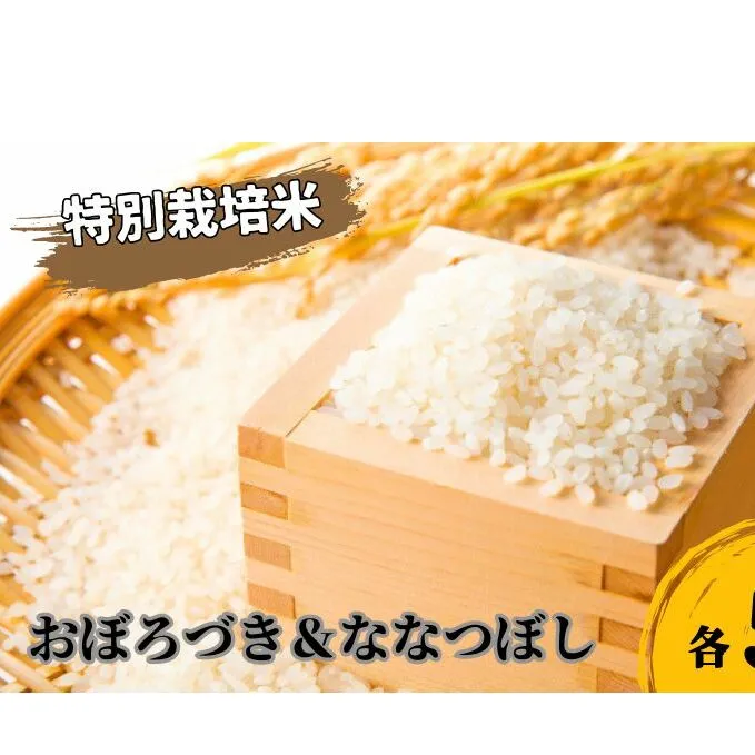 北海道 日高【田中農園】R6年産 おぼろづき ＆ ななつぼし 各5kg 食べ比べ セット 特別栽培米