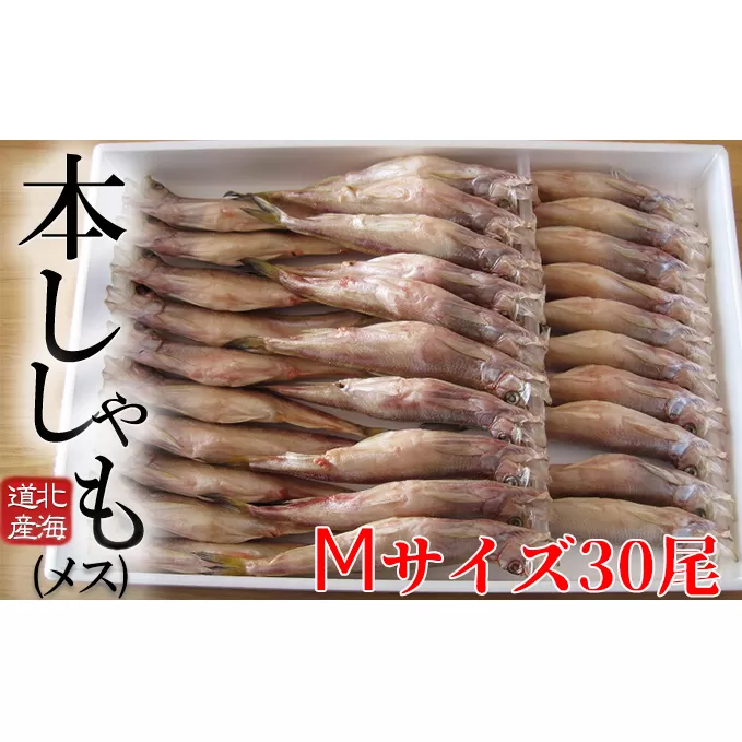 北海道産 ししゃも【メス】M30尾セット 魚介類 ししゃも 魚 海鮮 海の幸 北海道 日高 本ししゃも Mサイズ メス