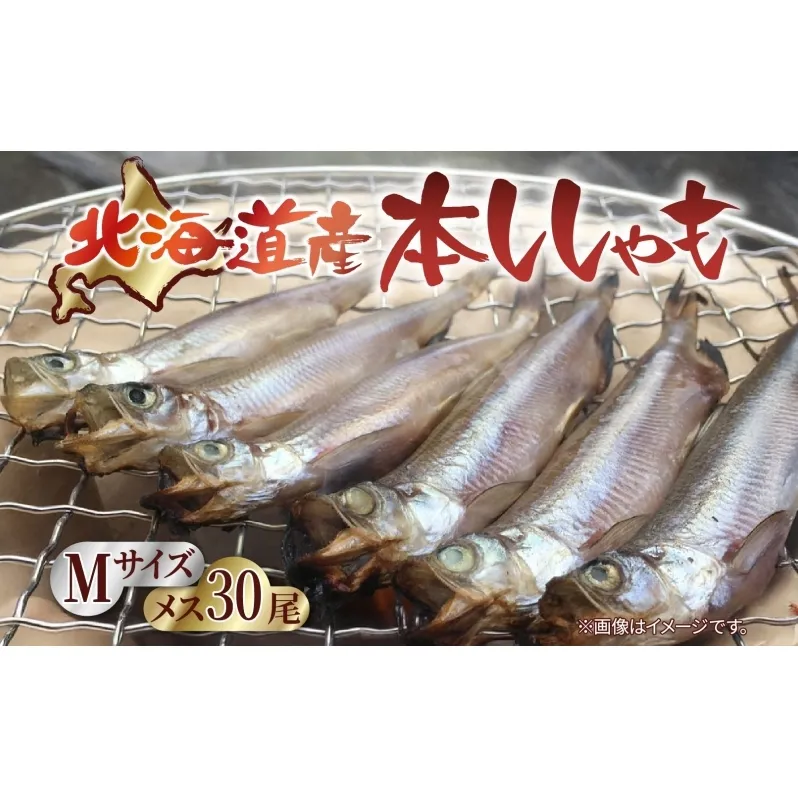 北海道産 阿部水産 ししゃも M 30尾セット 本ししゃも 雌 メス 魚卵 卵 たまご タマゴ子持ち 北海道土産 季節限定 ほくほく 子魚 無添加 クール便 冷凍 送料無料 北海道 日高町