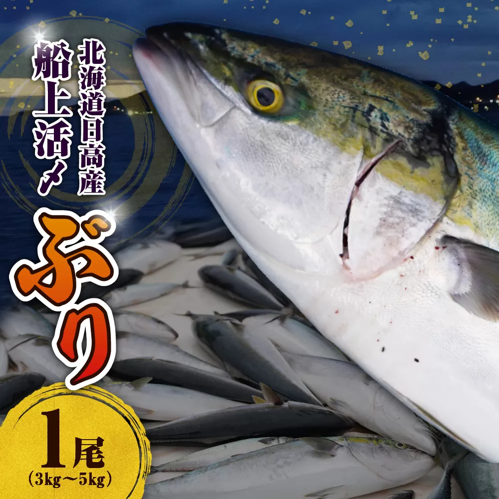 えりも【マルデン特製】（冷蔵）船上活〆北海道日高産ぶり1尾　3kg～5kg【er002-074】