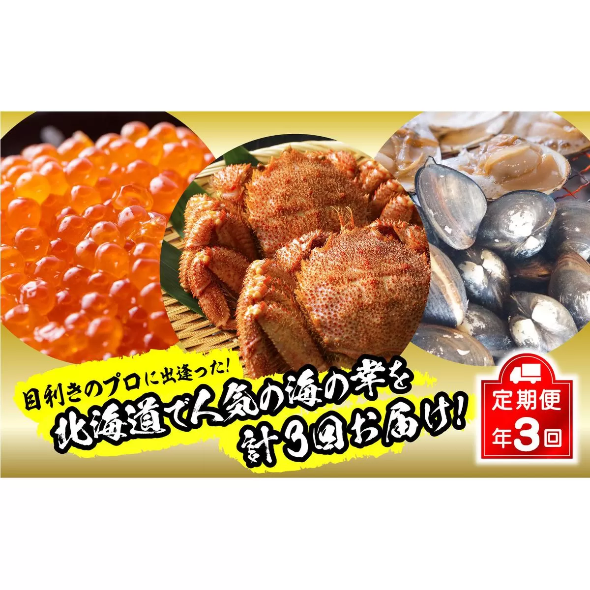 ＜2023年12月から順次発送＞【 定期便 3回 】 北海道産 海の幸 定期便 いくら 500ｇ ( 250 ｇ × 2 パック ) 毛がに 2尾 活きホッキ貝 20個 北海道 新ひだか町 ＜ 予約商品 ＞