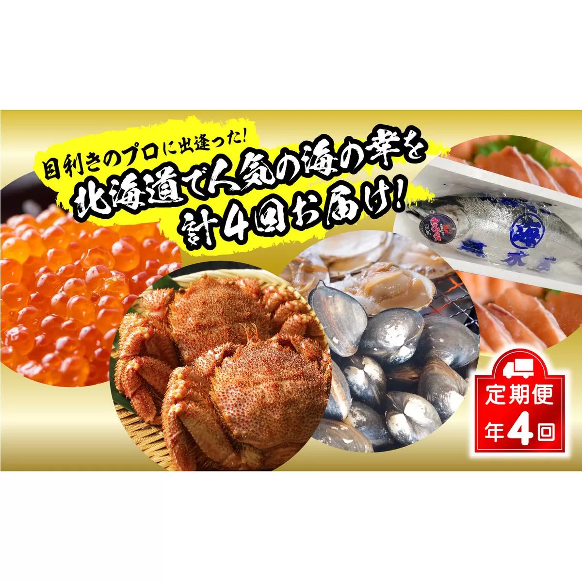 ＜2023年12月から順次発送＞【 定期便 4回 】 北海道産 海の幸 定期便 いくら 500ｇ ( 250 ｇ × 2 パック ) 毛がに 2尾 活きホッキ貝 20個 サクラマス まるごと 1尾 北海道 新ひだか町 ＜ 予約商品 ＞