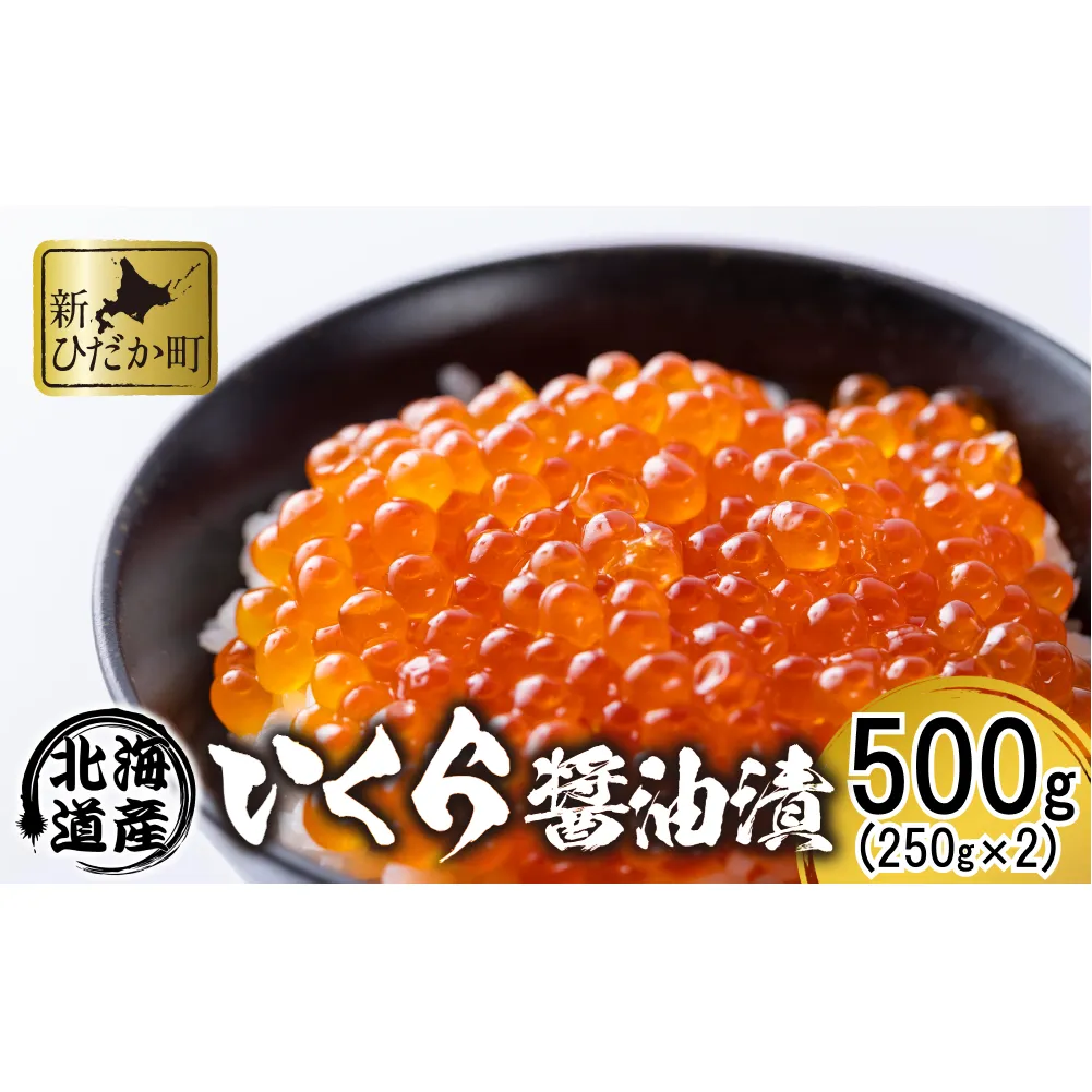 北海道 日高産 いくら 醤油漬 500g ( 250g × 2パック )