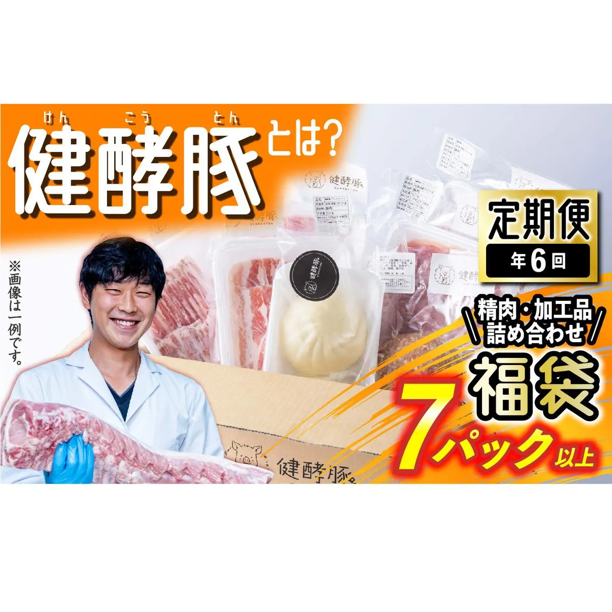 ＜ 定期便 6回 ＞ 北海道産 健酵豚 お楽しみ 福袋 （ 加工品 あり） 隔月 各 7パック以上 豚肉 精肉 加工品 セット 詰め合わせ ブランドポーク