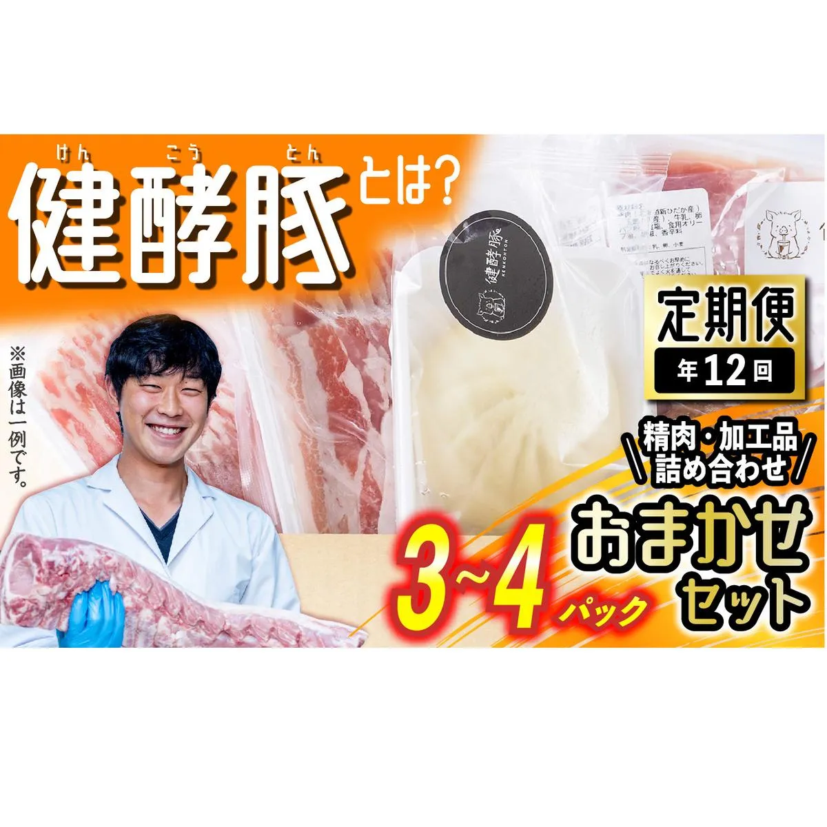 ＜ 定期便 12回 ＞ 北海道産 健酵豚 おまかせ セット （ 加工品 あり） 毎月 各 3～4 パック 豚肉 精肉 加工品 詰め合わせ ブランドポーク