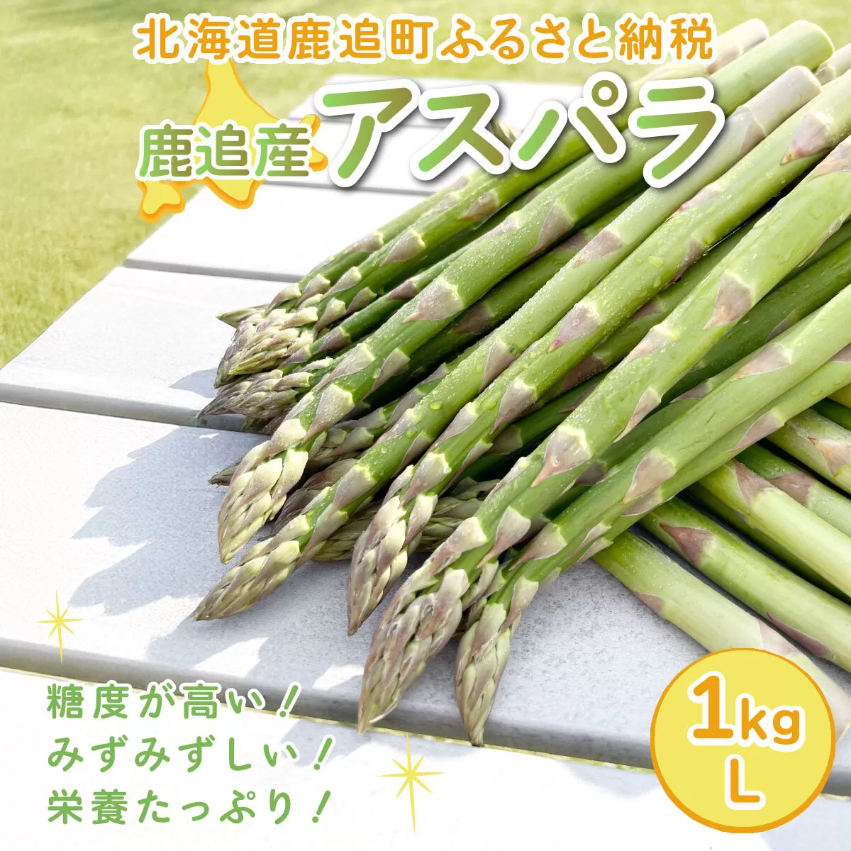 鹿追産アスパラ（1kg）L 【 ふるさと納税 人気 おすすめ ランキング アスパラ アスパラガス あすぱら 野菜 旬 北海道産 北海道 鹿追町 送料無料 】 SKA038