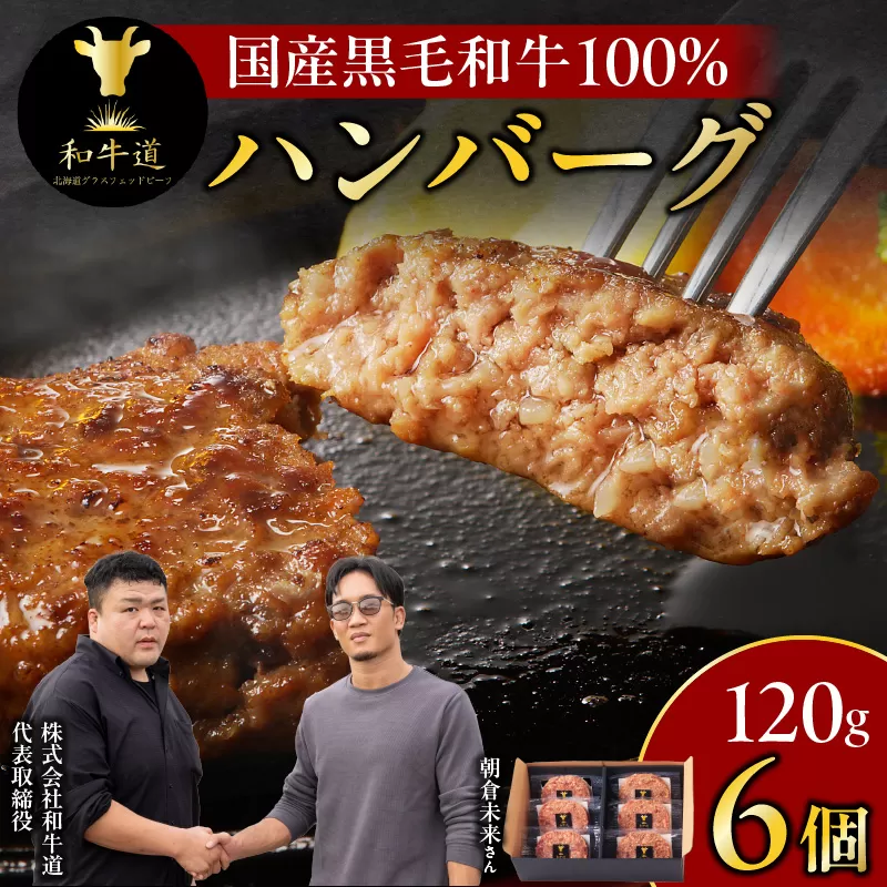 ブランド和牛 「 十勝姫 」の 和牛道 ハンバーグ 120g × 6食 セット 【 牛 牛肉 黒毛和牛 生ハンバーグ 個包装 小分け グラスフェッドビーフ 国産 簡単調理 惣菜 北海道産 冷凍 お取り寄せ 北海道 清水町   】