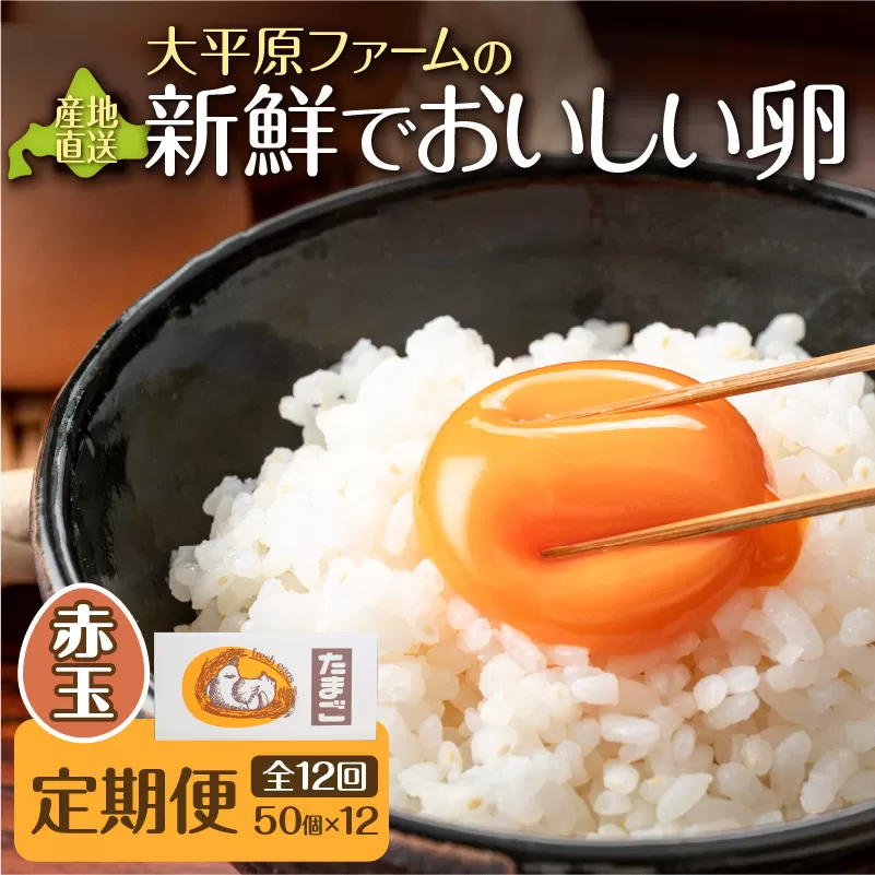 【12回定期便】大平原ファームの新鮮でおいしい卵 計50個(赤卵)×12ヶ月【北海道 清水 赤卵 卵 600個 こだわり卵 卵かけご飯 玉子 タマゴ 卵焼き TKG 温泉卵 オムレツ ゆでたまご 栄養満点 国産】