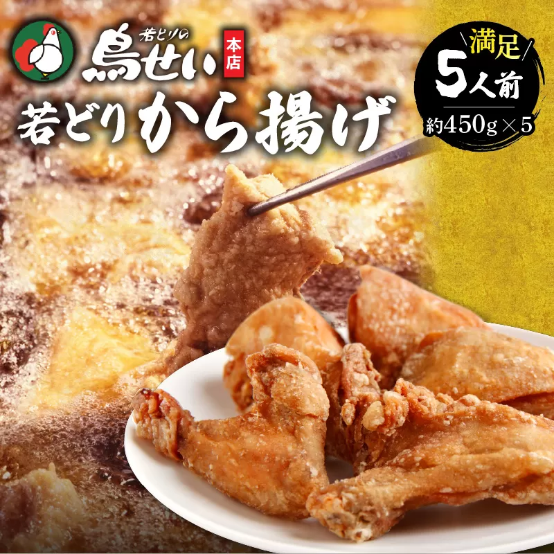 鳥せい本店の若どりから揚げ 満足5人前【鳥せい本店 若どり から揚げ 5人前 おつまみ 晩ごはん お手軽 鶏肉 手羽 むね肉 もも肉 詰め合わせ 真空パック 冷蔵 職人技 こだわり お取り寄せ 北海道 清水町】