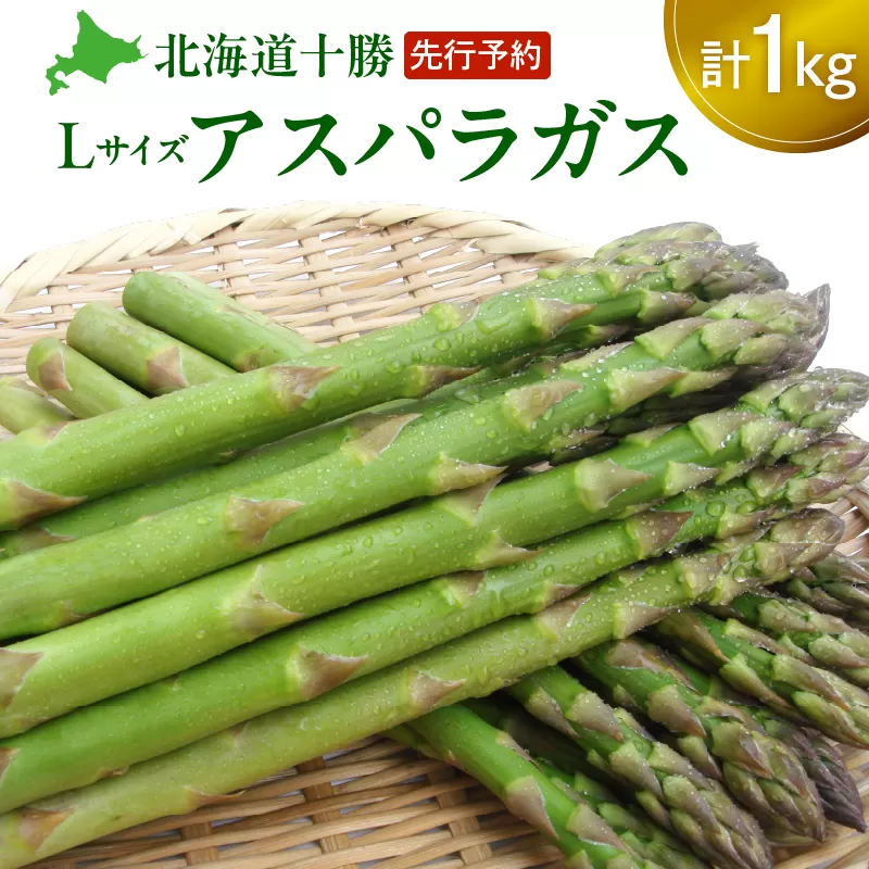 【先行予約】アスパラガス グリーン Lサイズ 1kg！ 【 北海道 野菜 家庭用 アスパラ しみず有機 ミネラル 有機堆肥 先行予約 2024年発送 令和6年度発送 】