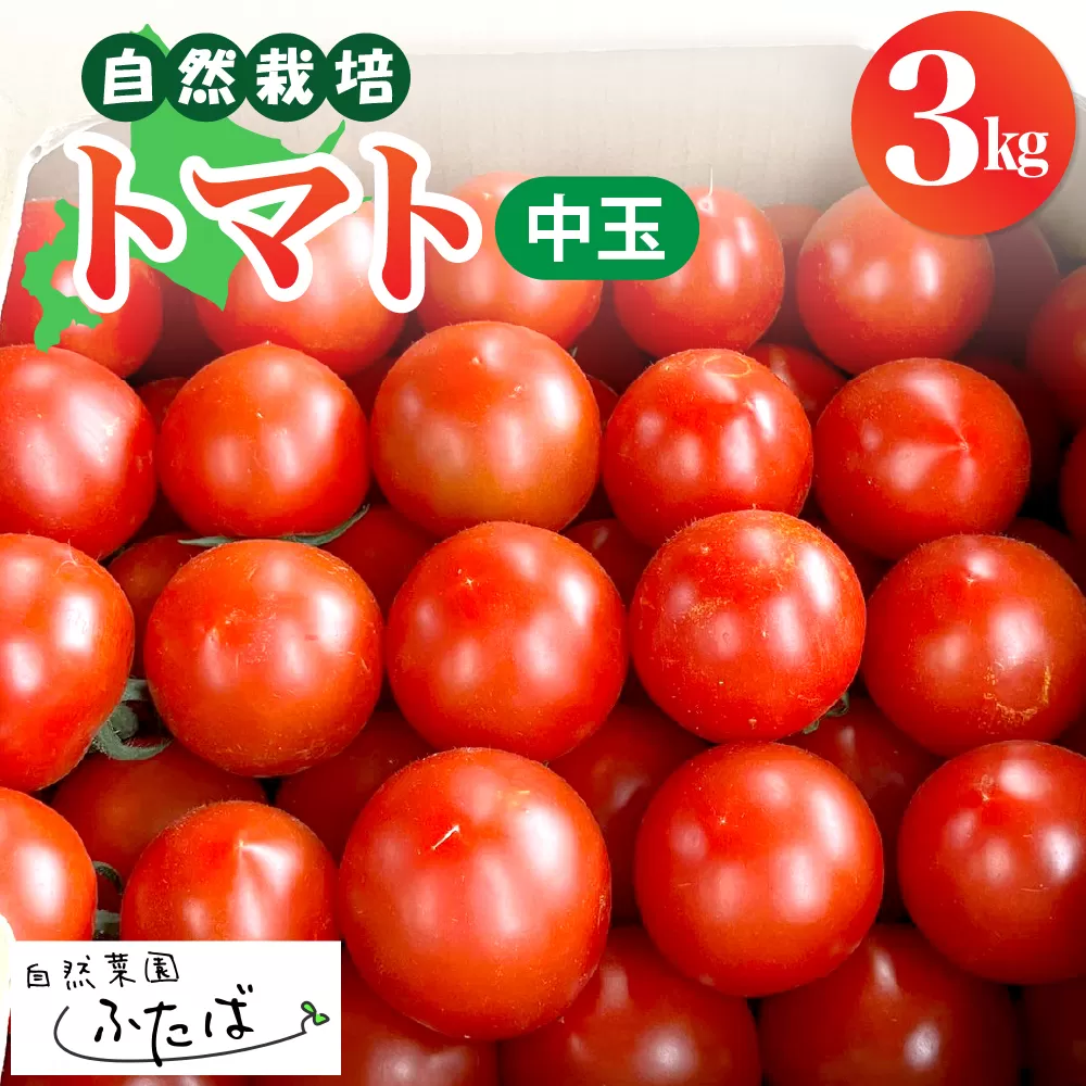 【先行受付】【2025年8月中旬から順次発送】北海道十勝芽室町　自然菜園ふたば　宇佐美亮のトマト（中玉） 3kg　me074-011c
