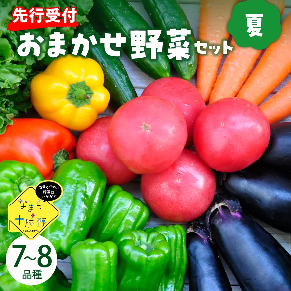 【先行受付】【2025年8月より発送】北海道十勝芽室町 なまら十勝野の季節のおまかせ野菜セット（夏） me001-009c