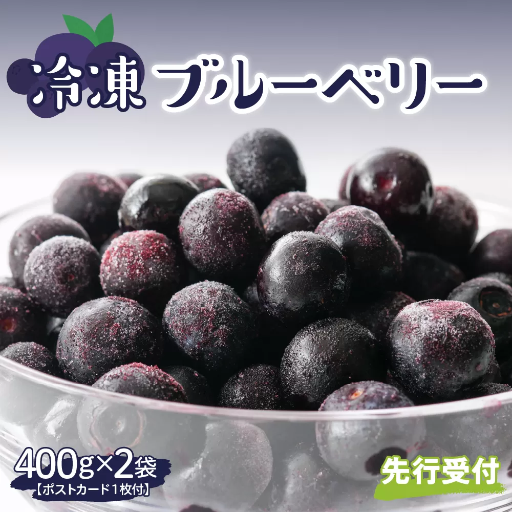 【2025年分先行予約】北海道十勝芽室町　上美生のたからばこ　上美生の冷凍ブルーベリーとポストカードのセット　me029-003-24c