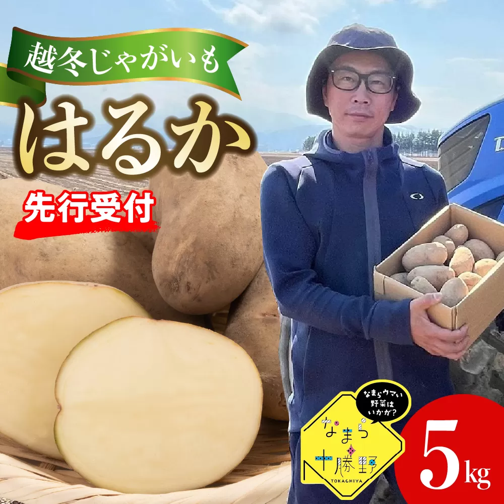 【先行受付】【2025年4月より順次発送】北海道十勝芽室町　なまら十勝野　越冬じゃがいも　はるか　5kg　me001-028c