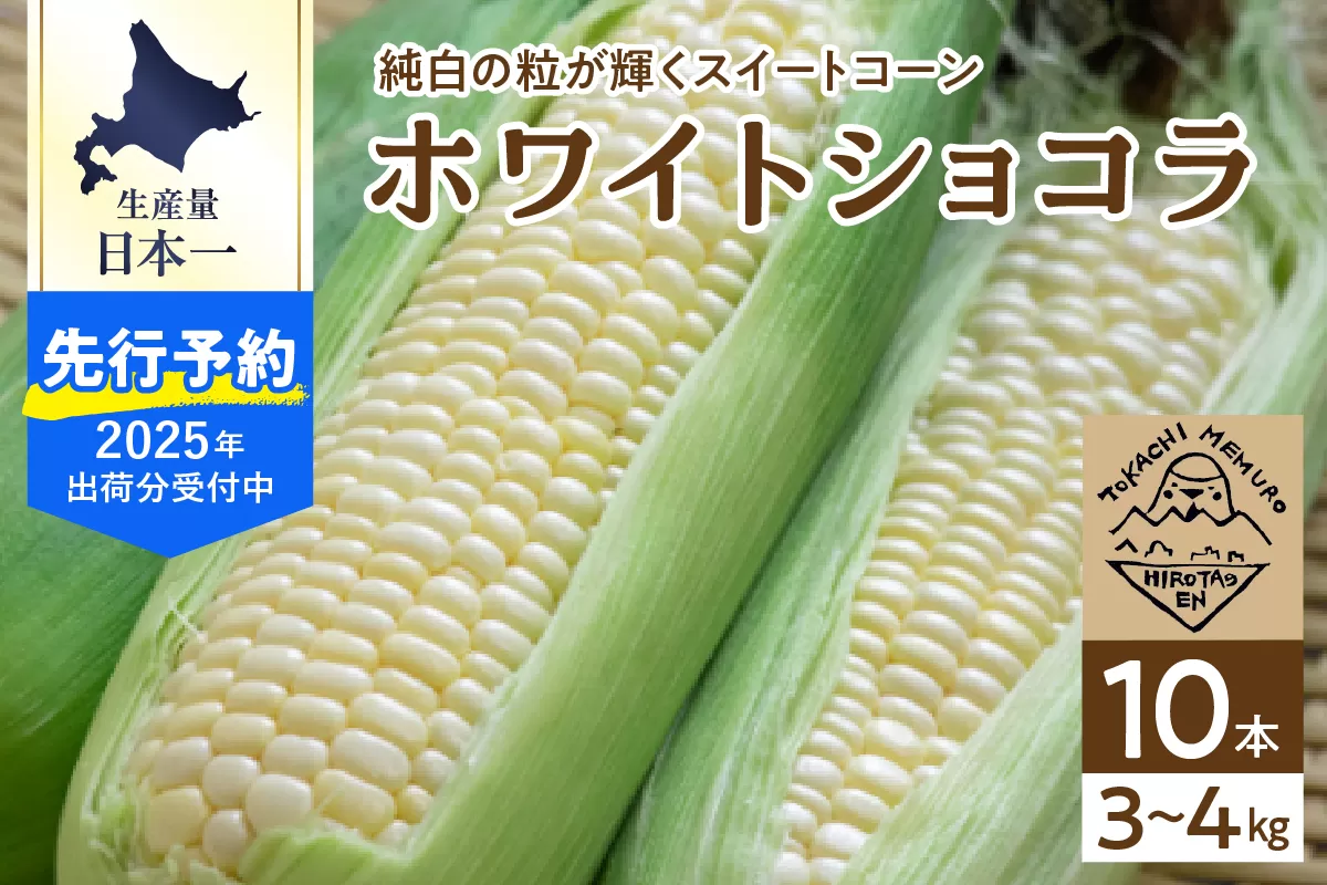 【2025年分先行予約】北海道十勝芽室町　廣田農園の白いスイートコーン10本 me031-001c-25