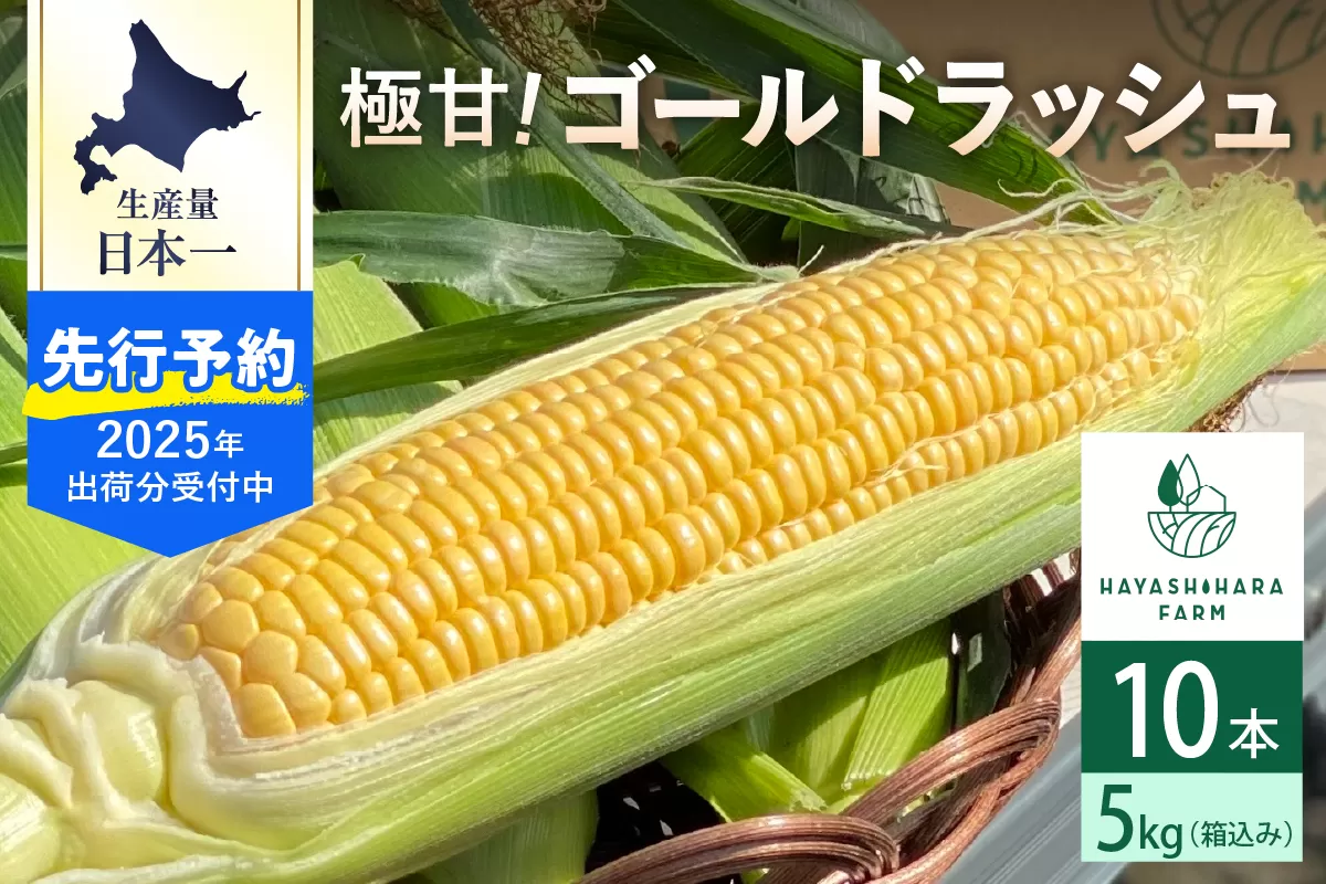 【2025年分先行予約】北海道十勝芽室町 極甘とうもろこし ゴールドラッシュ 10本 me028-001c-25