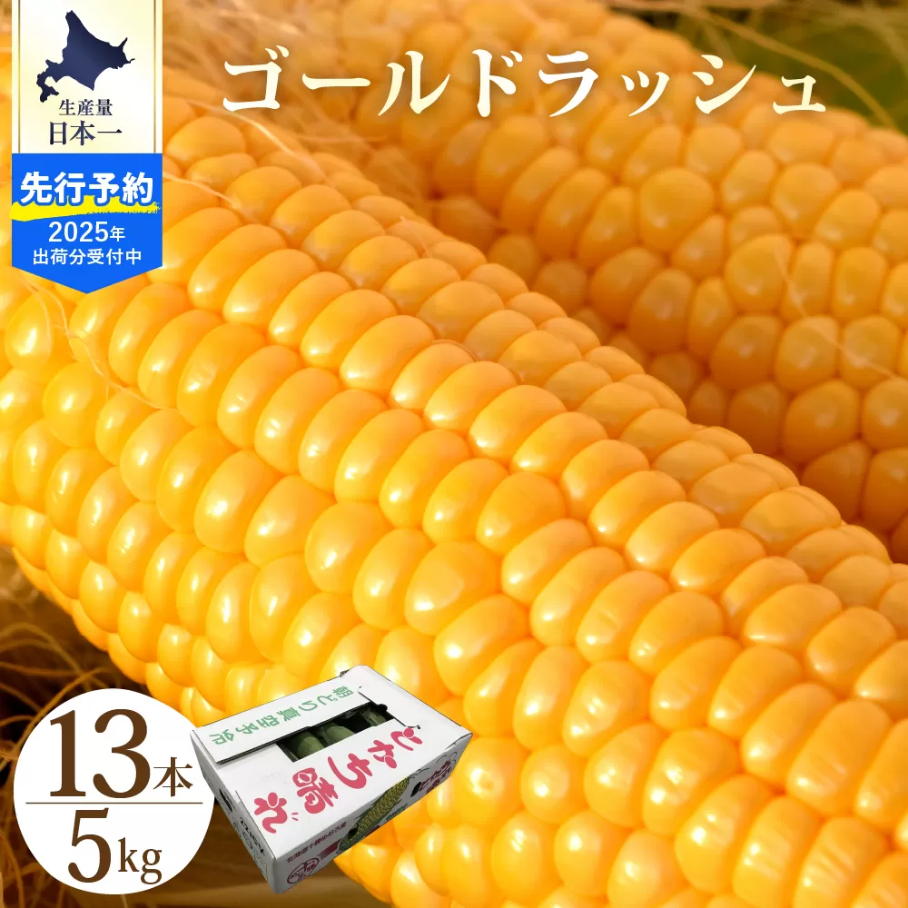 【2025年分先行予約】北海道十勝芽室町　とかち晴れ　十勝めむろスイートコーン 13本入り　me010-005c-25