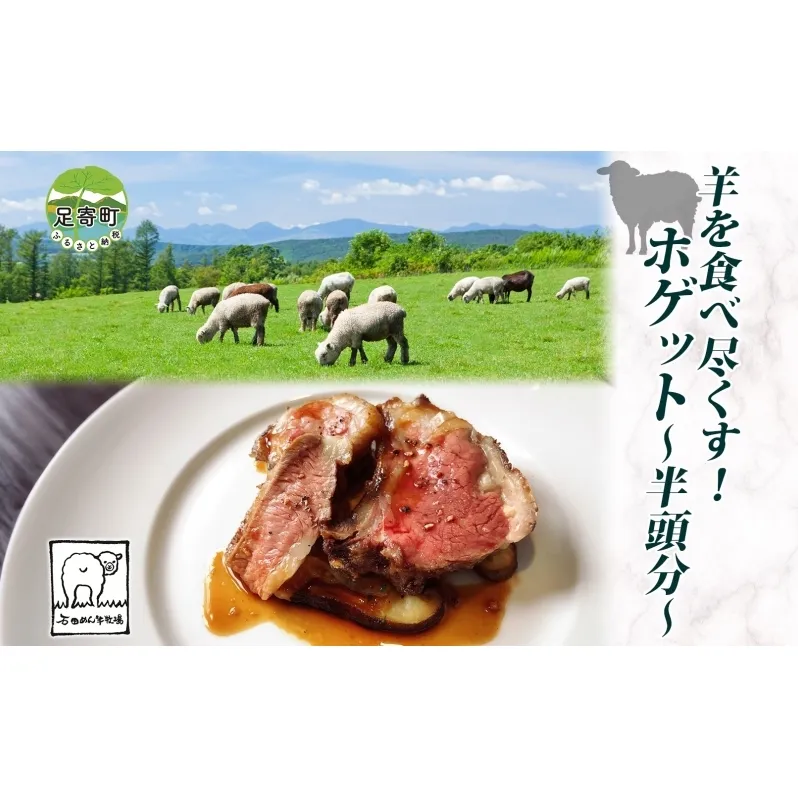 羊を食べ尽くす 石田めん羊牧場のホゲット半頭分 ホゲット 骨付き背ロース 骨付き肩ロース 内もも・外もも ヒレ 切り落とし シンタマ ネック スネ スペアリブ 鞍下 10部位 ホゲット肉 仔羊 羊肉 半頭 北海道 足寄町