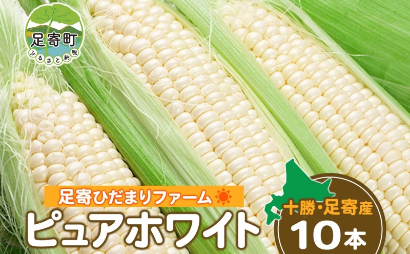 北海道 十勝 とうもろこし ピュアホワイト 10本 スイートコーン ホワイトトウモロコシ とうきび コーン 生食 旬 野菜 農作物 十勝  足寄ひだまりファーム 送料無料｜足寄町｜北海道｜返礼品をさがす｜まいふる by AEON CARD