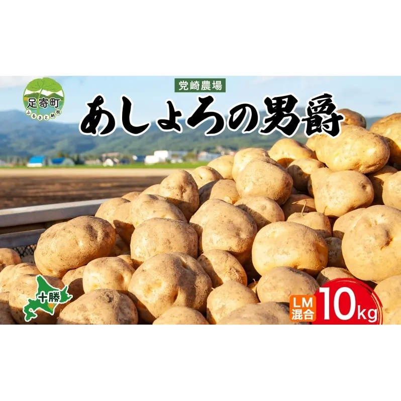 北海道産 じゃがいも 男爵 計10kg ジャガイモ 馬鈴薯 十勝野菜 国産 野菜 北海道 産地直送 新鮮 旬 備蓄 ストック 保存 グルメ お取り寄せ ギフト おすそ分け シェア 十勝 党崎農場 送料無料