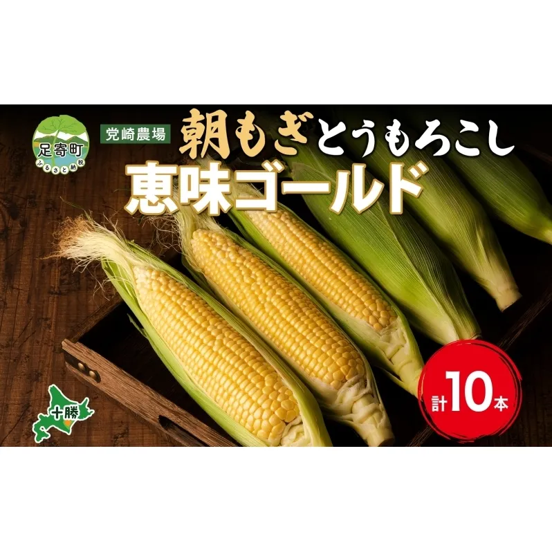 北海道 朝もぎ とうもろこし 恵味 ゴールド 10本 トウモロコシ コーン スイートコーン イエローコーン 黄色 とうきび もぎたて 旬 農作物 甘い おまかせ 十勝 党崎農場 送料無料