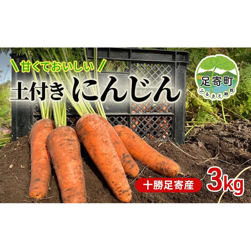 【 十勝 足寄産 】 甘くておいしい 大空と大地の中で育った 人参 3kg ( 土付き ) にんじん