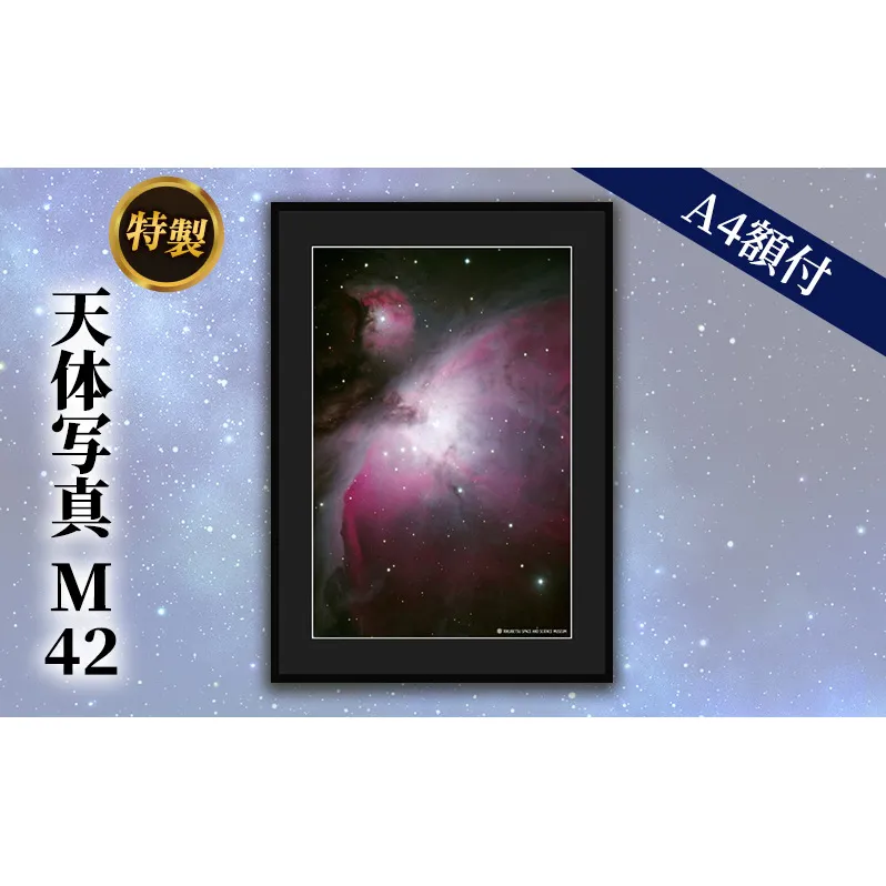 特製 天体写真(A4額付)M42