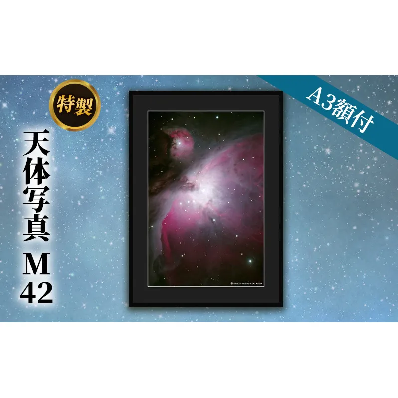 特製 天体写真(A3額付)M42