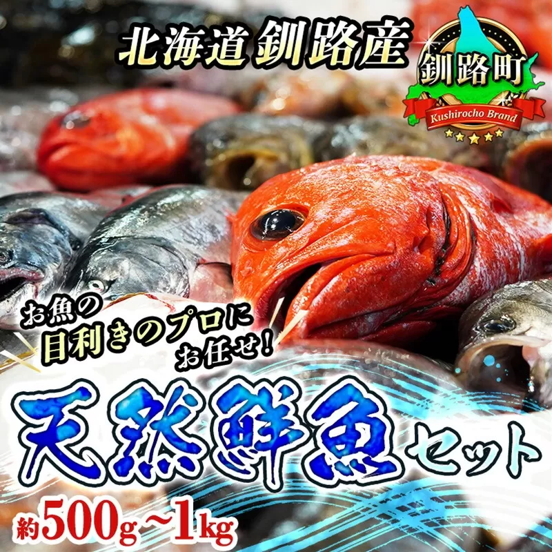 お魚の目利きのプロにお任せ!北海道産(国産) 天然 鮮魚 約500g〜1kg(釧路の鮮魚セット)