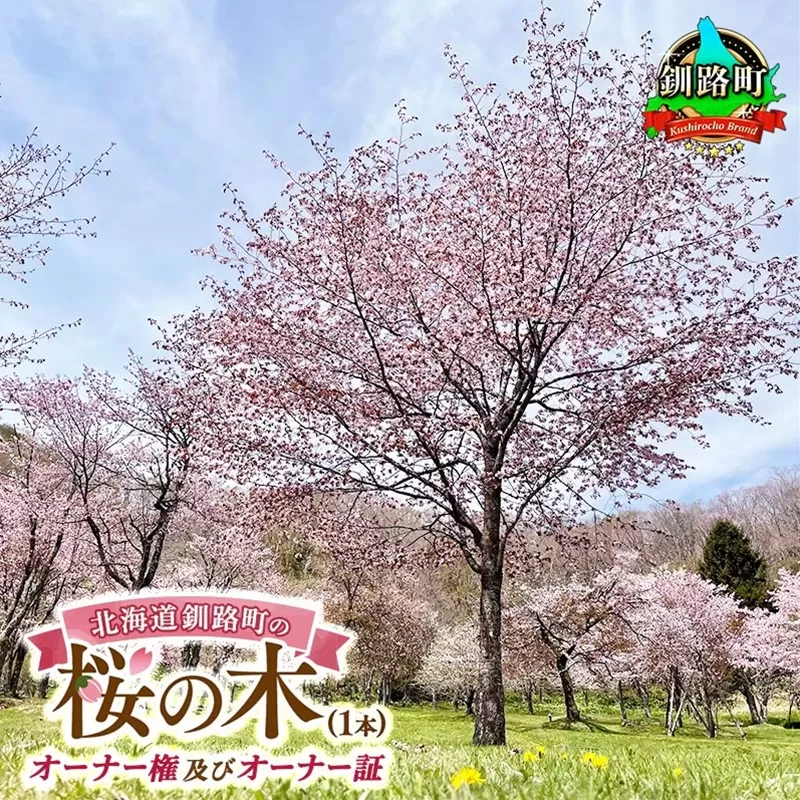 北海道釧路町の桜の木(1本)のオーナー権及びオーナー証＜植樹開催＆プレートお届け時期：2025年5月ごろ＞ | 北海道 釧路町 別保公園 桜の木 桜の苗 桜の苗木 桜 さくら 自然 保護 植樹体験 体験 北海道 先行予約 結婚 誕生 就職 退職 記念 想い出