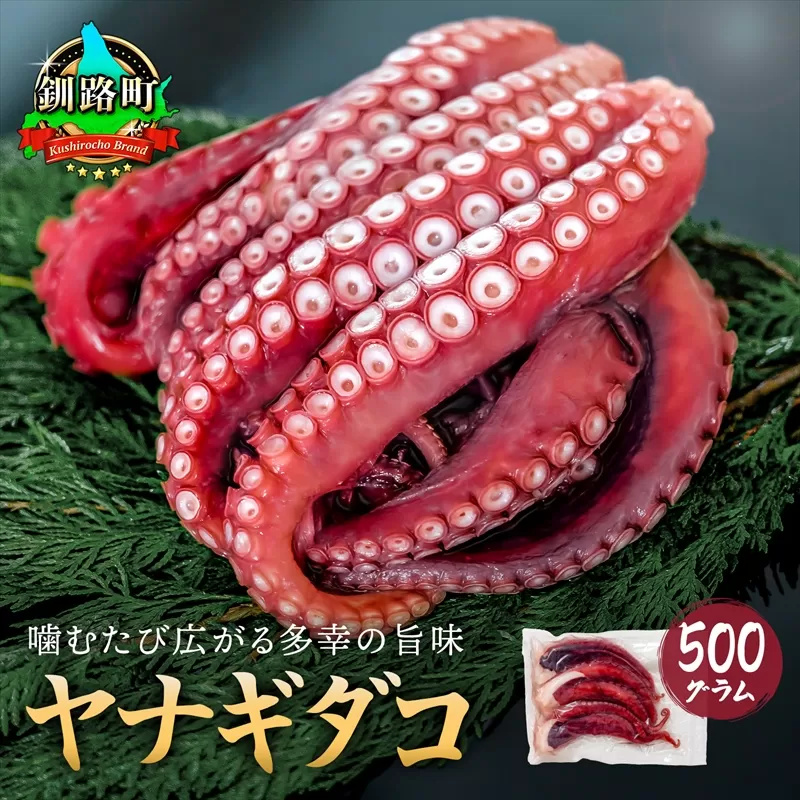 ヤナギダコ500ｇ【産地直送】プリプリ食感！釧路町昆布森産 ヤナギダコ｜噛むたびに広がる多幸の旨味 お刺身 鍋 煮物に最適 栄養満点 贈答用 にも最適 漁師直送 鮮度抜群 タコ 蛸 北海道 冷凍 年内配送 年内発送 北海道 釧路町 釧路超 特産品