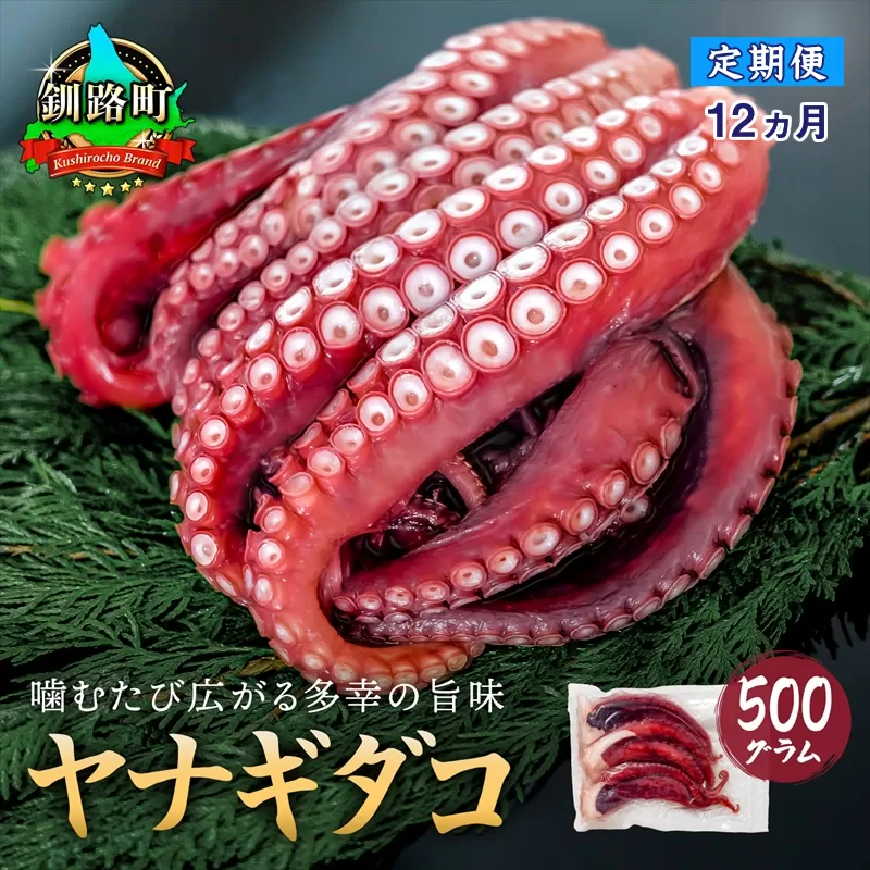 【定期便12ヶ月】ヤナギダコ500g【産地直送】プリプリ食感！釧路町昆布森産 ヤナギダコ｜噛むたびに広がる多幸の旨味 お刺身 鍋 煮物に最適 栄養満点 贈答用 にも最適 漁師直送 鮮度抜群 タコ 蛸 北海道 冷凍 釧路町 釧路超 特産品