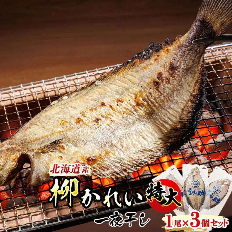 北海道産 特大 柳かれい 一夜干し 1尾×3個セット | おつまみ 焼魚 焼き魚 定食 魚 干物 セット ひもの 冷凍 人気の 訳あり！ 年内配送 年内発送 北海道 釧路町 釧路超 特産品