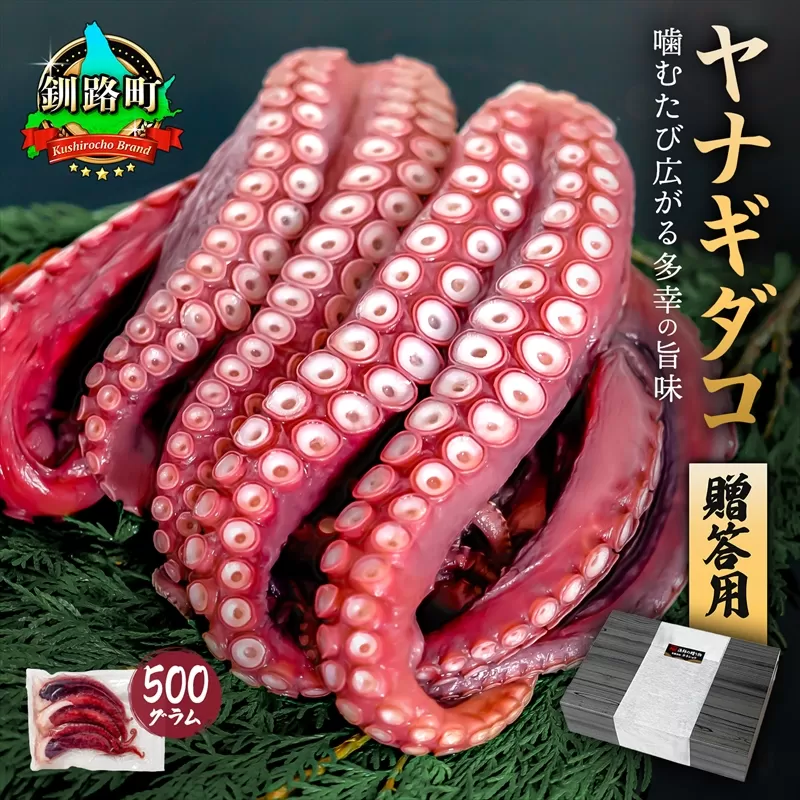 ヤナギダコ500ｇ（贈答用 熨斗付き）【産地直送】プリプリ食感！釧路町昆布森産 ヤナギダコ｜噛むたびに広がる多幸の旨味 お刺身 鍋 煮物に最適 栄養満点 贈答用 にも最適 漁師直送 鮮度抜群 タコ 蛸 北海道 冷凍 釧路町 釧路超 特産品