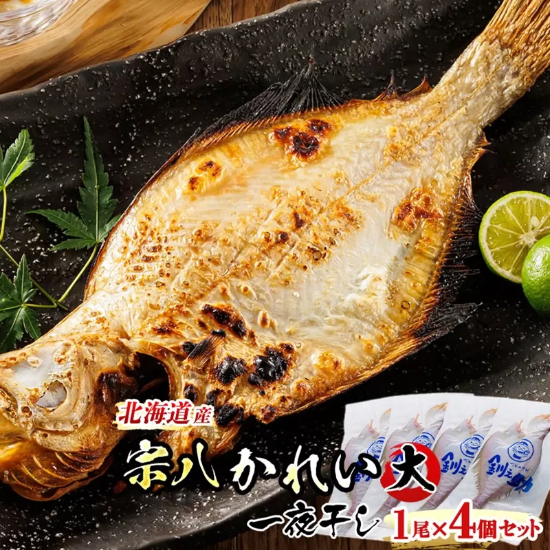 北海道産　宗八かれい(大)　1尾×4個セット | おつまみ 焼魚 焼き魚 定食 魚 干物 セット ひもの 冷凍 人気の 訳あり！ 年内配送 年内発送 北海道 釧路町 釧路超 特産品