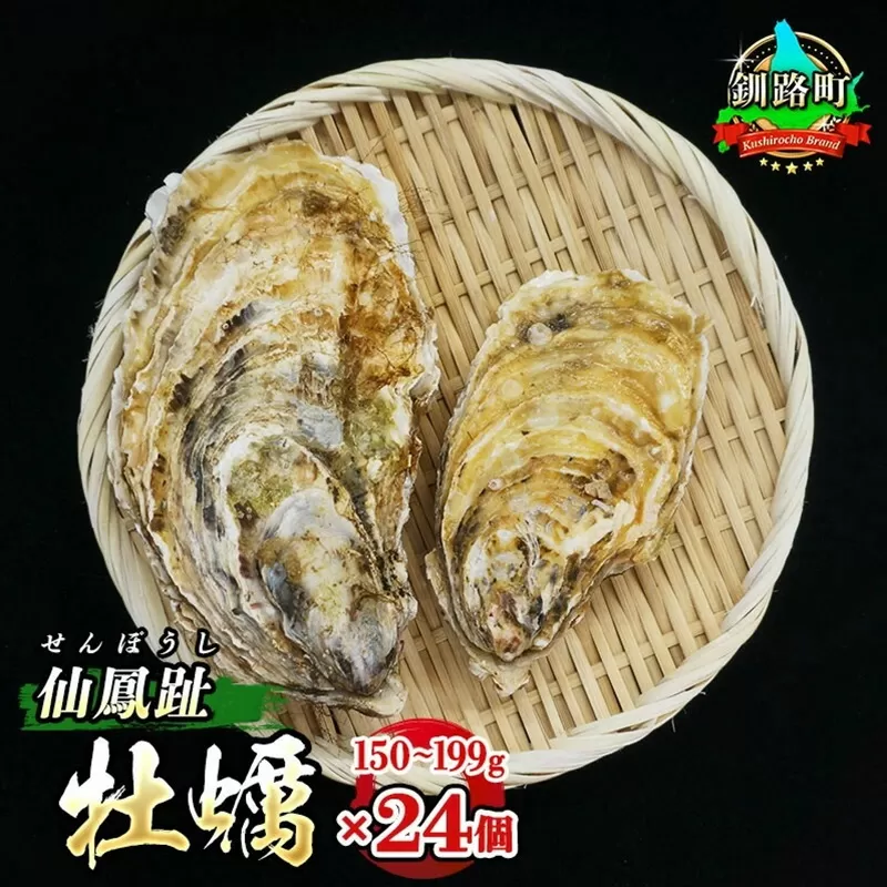 ＼先行予約／北海道 仙鳳趾名産 牡蠣 150g〜199g×24コ+かきナイフ付き かき漁師直送 K3-4＜出荷時期：2025年7月1日ごろ～順次出荷＞＜センポウシ : 釧路町の東 厚岸湾の西 カキの名産地＞ | せんぽうし 牡蠣 生食用 殻付き