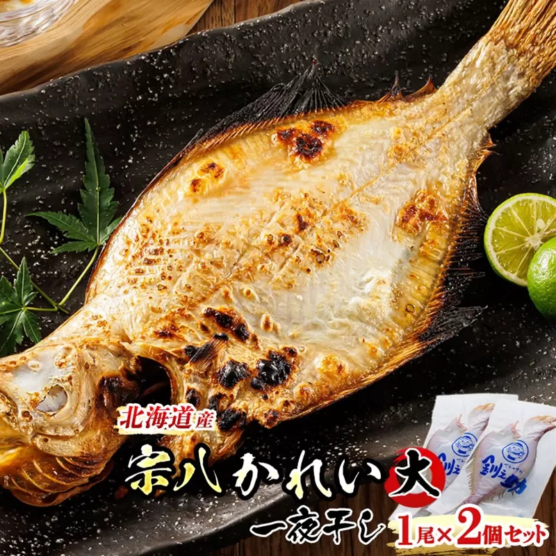 北海道産　宗八かれい(大)　1尾×2個セット | おつまみ 焼魚 焼き魚 定食 魚 干物 セット ひもの 冷凍 人気の 訳あり！ 年内配送 年内発送 北海道 釧路町 釧路超 特産品