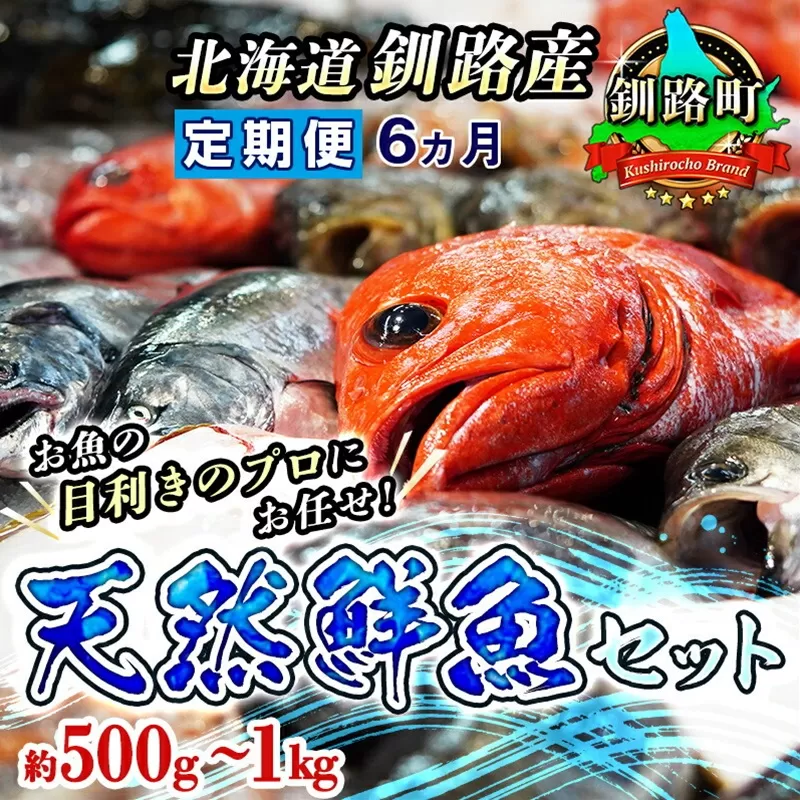 【定期便　６ケ月連続】　お魚の目利きのプロにお任せ！北海道産（国産） 天然 鮮魚 約500g〜1kg（釧路の鮮魚セット）